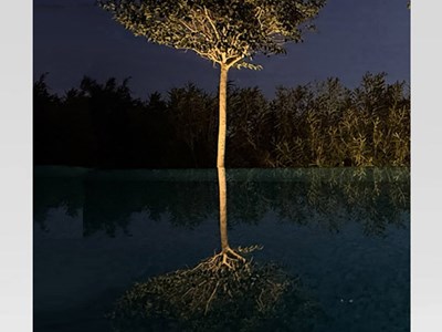 P-Koon / P-Ket <br>Sculptures of Light
